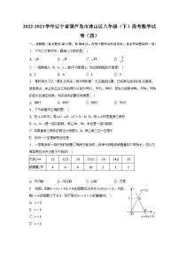 2022-2023学年辽宁省葫芦岛市连山区八年级（下）段考数学试卷（四）（含解析）