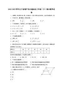 辽宁省葫芦岛市建昌县2022-2023学年八年级下学期期末数学试卷（含答案）