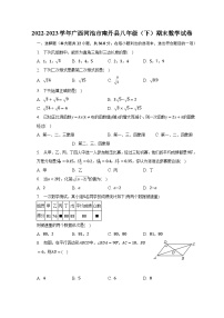 2022-2023学年广西河池市南丹县八年级（下）期末数学试卷（含解析）