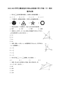 +安徽省宿州市砀山县铁路中学2022-2023学年八年级下学期期末数学试卷+