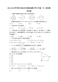 四川省达州市渠县琅琊中学2022-2023学年八年级下学期期末数学试卷+