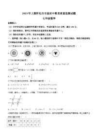 湖南省怀化市市直初中2022-2023学年七年级下学期期末数学试题（含答案）