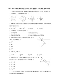 2022-2023学年陕西省汉中市洋县七年级（下）期末数学试卷（含解析）