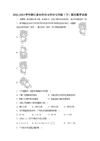 2022-2023学年浙江省台州市玉环市七年级（下）期末数学试卷（含解析）