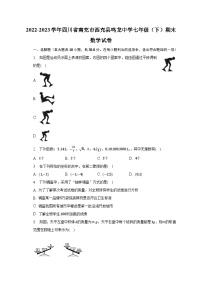 2022-2023学年四川省南充市西充县鸣龙中学七年级（下）期末数学试卷（含解析）