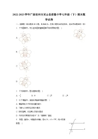 2022-2023学年广西钦州市灵山县那隆中学七年级（下）期末数学试卷（含解析）