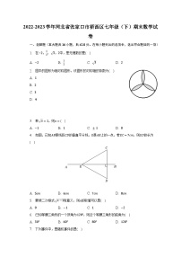 2022-2023学年河北省张家口市桥西区七年级（下）期末数学试卷（含解析）