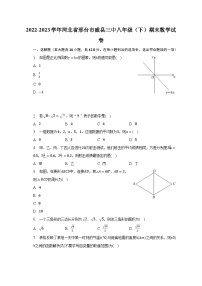 2022-2023学年河北省邢台市威县三中八年级（下）期末数学试卷（含解析）