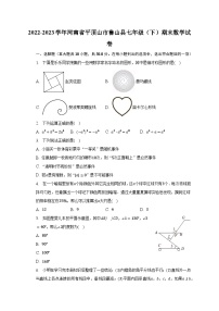 2022-2023学年河南省平顶山市鲁山县七年级（下）期末数学试卷-普通用卷