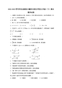 2022-2023学年河北省廊坊市霸州市部分学校七年级（下）期末数学试卷（含解析）