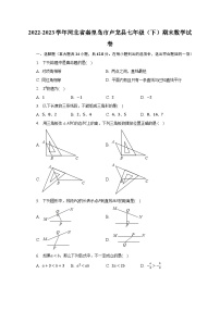 2022-2023学年河北省秦皇岛市卢龙县七年级（下）期末数学试卷-普通用卷