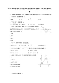 2022-2023学年辽宁省葫芦岛市兴城市七年级（下）期末数学试卷（含解析）