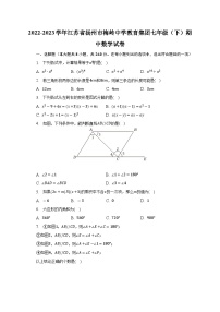 _江苏省扬州市梅岭中学教育集团2022-2023学年七年级下学期期中数学试卷