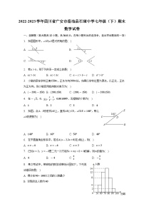 四川省广安市岳池县石垭中学2022-2023学年七年级下学期期末数学试卷