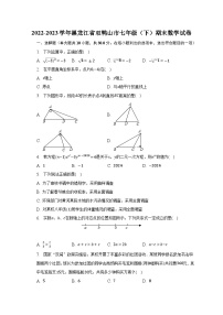 2022-2023学年黑龙江省双鸭山市七年级（下）期末数学试卷（含解析）