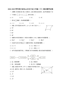 2022-2023学年四川省乐山市市中区八年级（下）期末数学试卷（含解析）