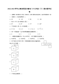 2022-2023学年云南省昭通市鲁甸二中七年级（下）期末数学试卷（含解析）