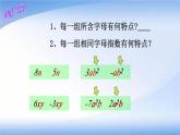 《同类项》PPT课件2-七年级上册数学人教版