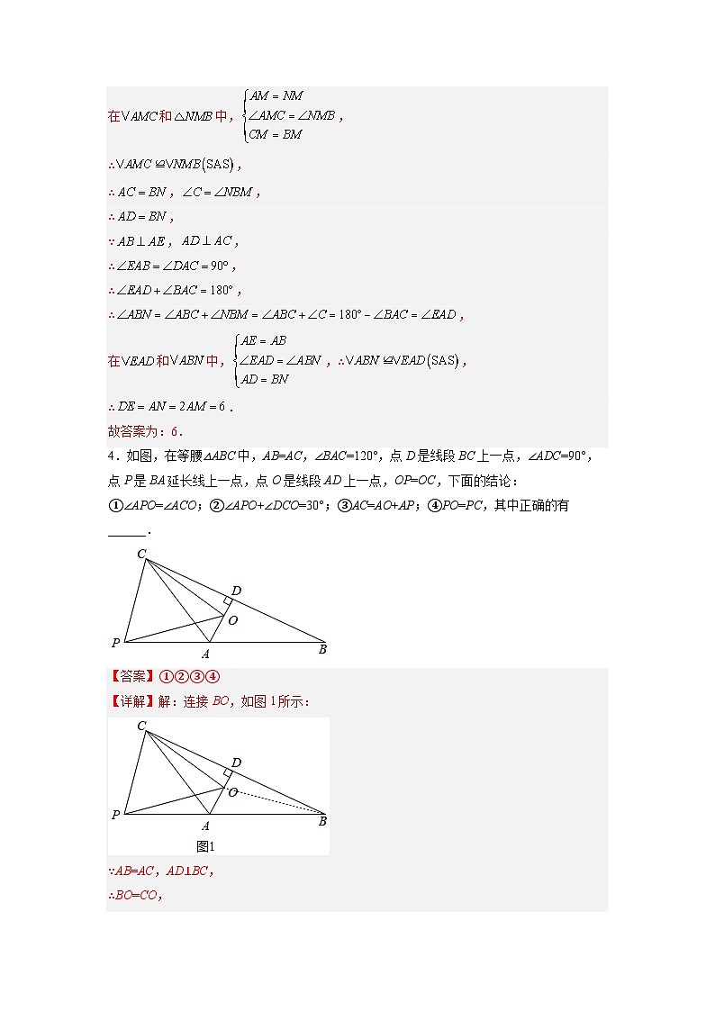 八年级数学上册全等三角形综合训练（五）（解析版）第3页
