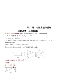 中考数学二轮复习第11讲  勾股定理与锐角三角函数（压轴题组）（含解析）