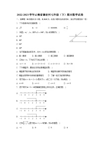 2022-2023学年云南省德宏州七年级（下）期末数学试卷（含解析）