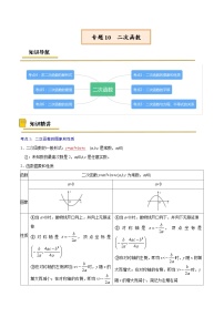 中考数学一轮复习考点复习专题10  二次函数【考点精讲】（含解析）