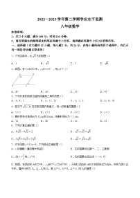 贵州省黔南布依族苗族自治州长顺县2022-2023学年八年级下学期期末数学试题（含答案）