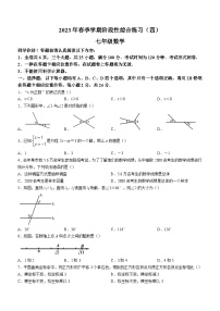 贵州省黔南布依族苗族自治州长顺县2022-2023学年七年级下学期期末数学试题（含答案）