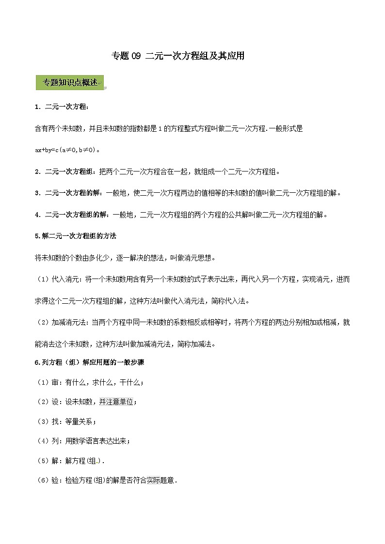 (通用版)中考数学总复习考点09 二元一次方程组及其应用（含解析） 试卷01