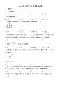 2022年辽宁省丹东市中考数学真题（原卷版）