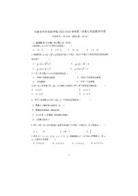 新疆乌鲁木齐市实验学校2023-2024学年九年级上学期开学考试数学试卷