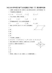 2022-2023学年四川省广元市苍溪县八年级（下）期末数学试卷（含解析）