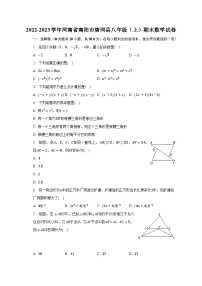 2022-2023学年河南省南阳市唐河县八年级（上）期末数学试卷（含解析）