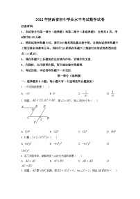 精品解析：2022年陕西省中考数学真题（原卷版）