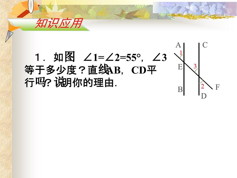 5.2.2平行线的判定课件(1)07