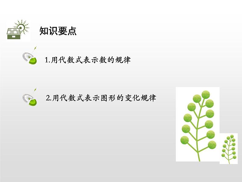 19年秋北师大版七年级数学上册讲解课件探索与表达规律PPT第2页