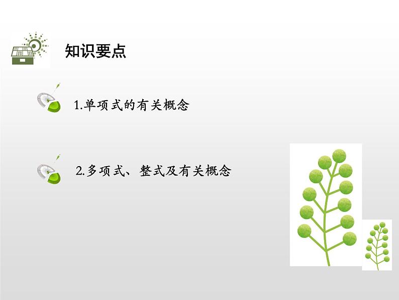 19年秋北师大版七年级数学上册讲解课件整式PPT第2页