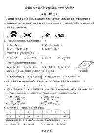 四川省成都市双流区成都市实外西区学校2023-2024学年九年级上学期开学考试数学试题