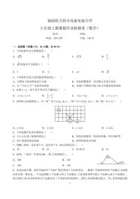 2023-2024湖南师大附中高新实验中学八年级入学考试数学试卷