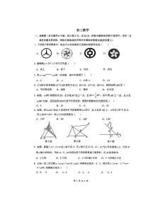 江苏省南通中学附属实验学校2023-2024学年九年级上学期开学测试数学试题