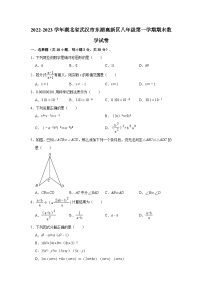 2022-2023学年湖北省武汉市东湖高新区八年级（上）期末数学试卷（含解析）