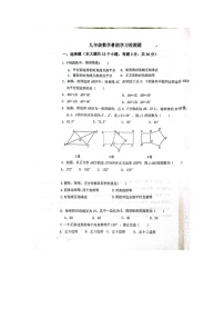 山东省枣庄市山亭区翼云中学2023-2024学年上学期开学监测九年级数学试卷