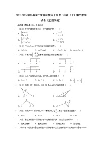 2022-2023学年黑龙江省哈尔滨六十九中七年级（下）期中数学试卷（五四学制）