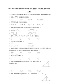 2022-2023学年湖南省永州市道县九年级（上）期末数学试卷（A卷）（含解析）