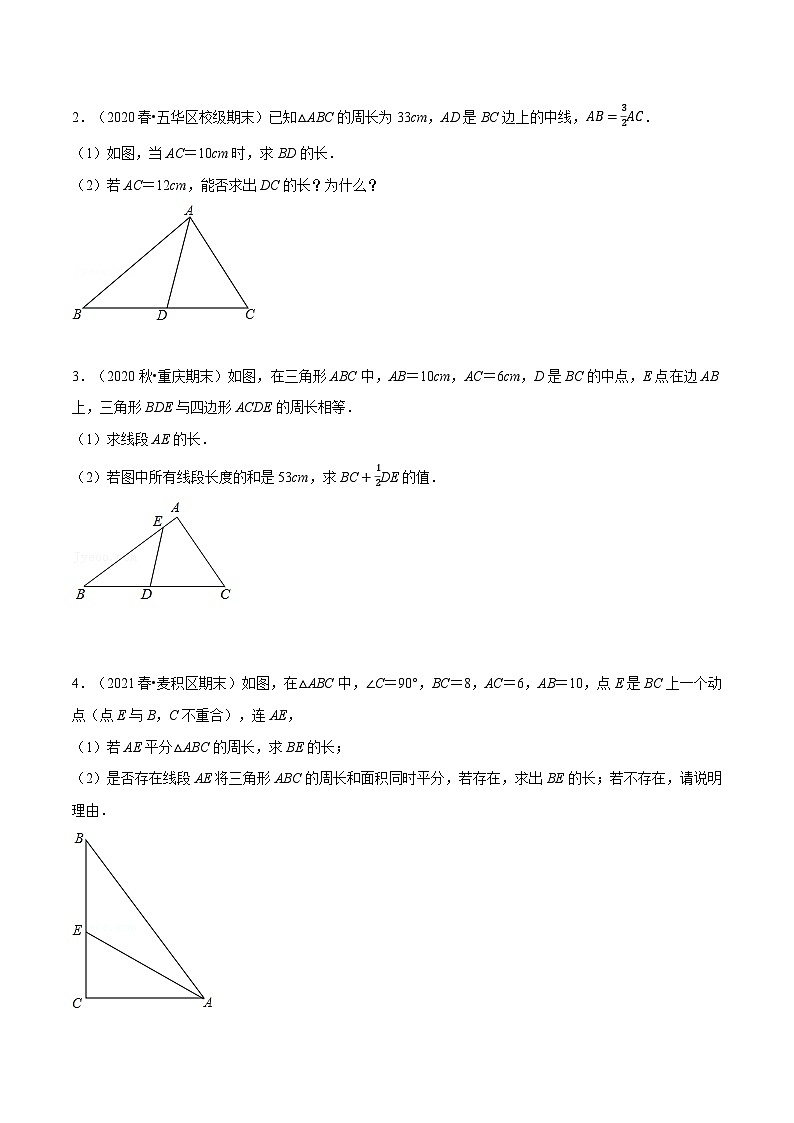 专题11.2 三角形的周长与面积（压轴题专项讲练）-2022-2023学年八年级数学上册从重点到压轴（人教版）03