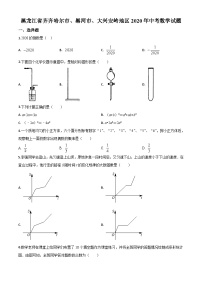 2020年中考真题精品解析 数学（黑龙江齐齐哈尔、黑河、大兴安岭地区卷）精编word版