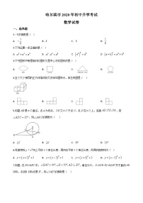 2020年中考真题精品解析 数学（黑龙江齐齐哈尔卷）精编word版