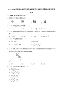 湖北省武汉市东湖高新区2022-2023学年八年级上学期期末数学模拟试卷