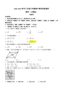 安徽省亳州市涡阳县2022-2023学年八年级下学期期中数学试题