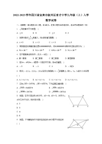 四川省宜宾市叙州区育才中学2022-2023学年九年级上学期入学考试数学试卷